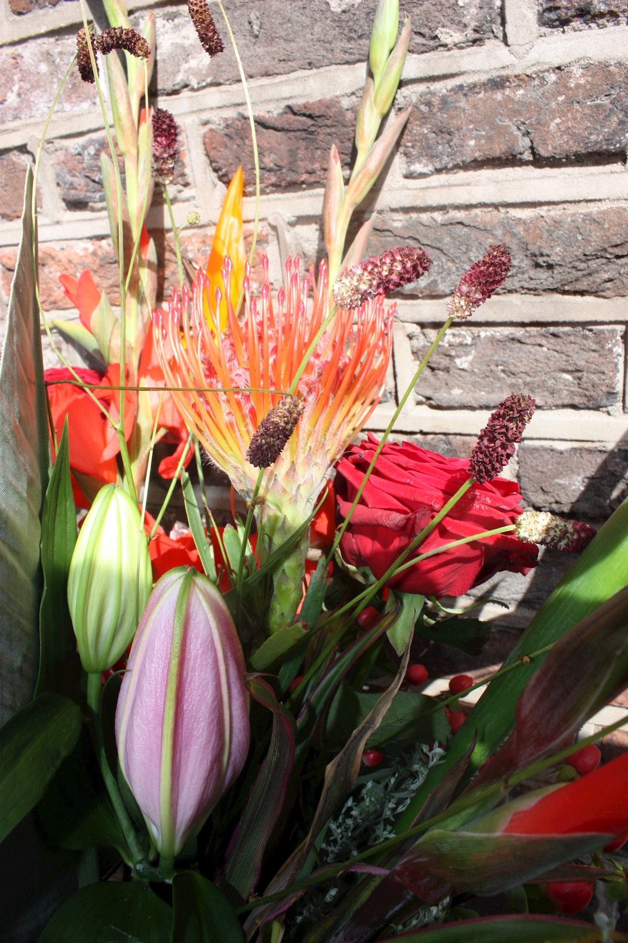 Kleurrijk "Bea"  vanaf € 20,00