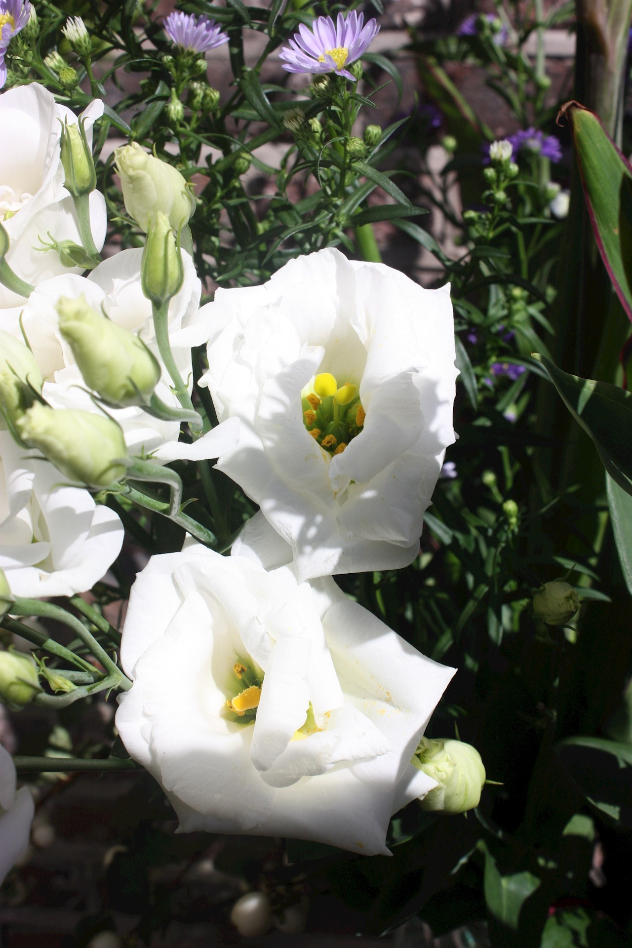 Boeket "Oost" € 25,00